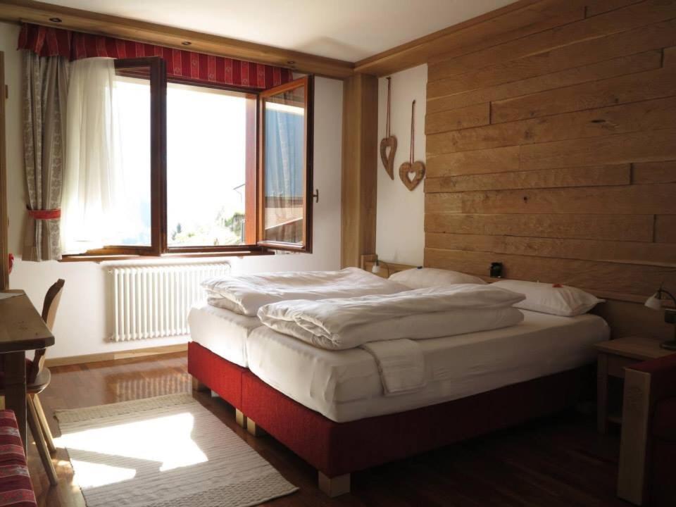 Bed and Breakfast Dromi A L'Alpin Erto Zewnętrze zdjęcie